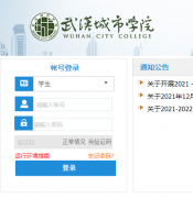 武汉科技大学城市学院教务管理系统http://jwm.whflfa.com/default.aspx